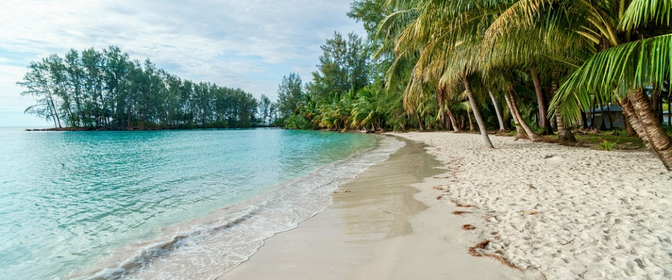 Журнал/10 рыбок, которые чаще всего встречаются в коралловых рифах Таиланда