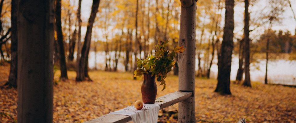 Журнал/Выходные в Торопце: куда пойти и чем заняться