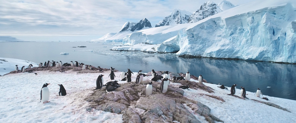 Журнал/10 фактов об Антарктиде, которые шокируют: неожиданные секреты самого холодного континента