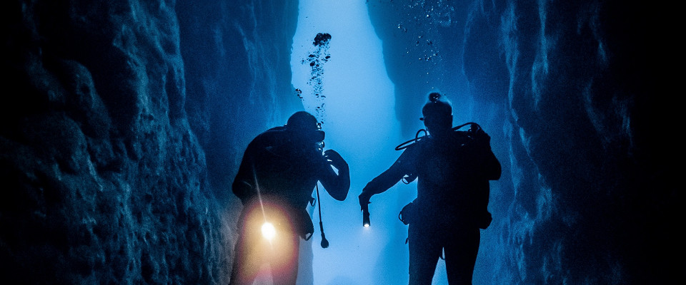 Журнал/6 ночных морских жителей Египта: кого можно встретить на ночном дайвинге в Красном море