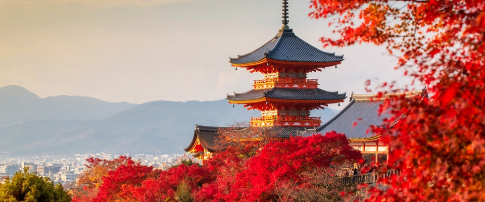 Журнал/Необычные правила поведения в Япония: о чем стоит помнить туристу