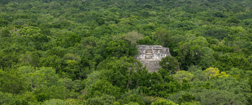 Журнал/Зачем майя играли в мяч, где проигравший умирал? История и тайны древней игры