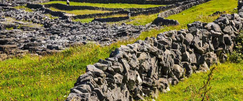 Журнал/Кельтская мифология: история, боги и легенды древних кельтов