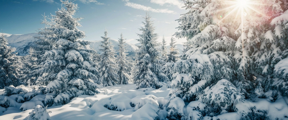Журнал/Куда поехать, если хочется и снега, и солнца за одну поездку