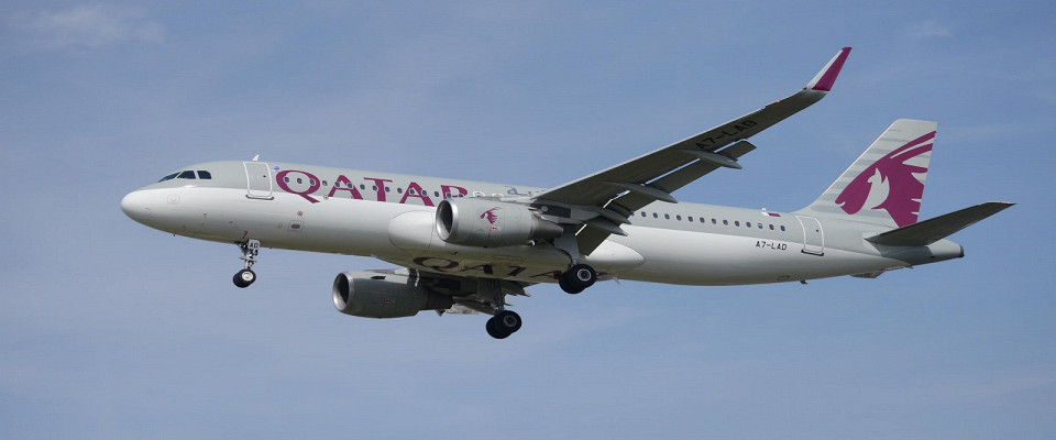 Журнал/Qatar Airways: провоз животных и спортивного инвентаря