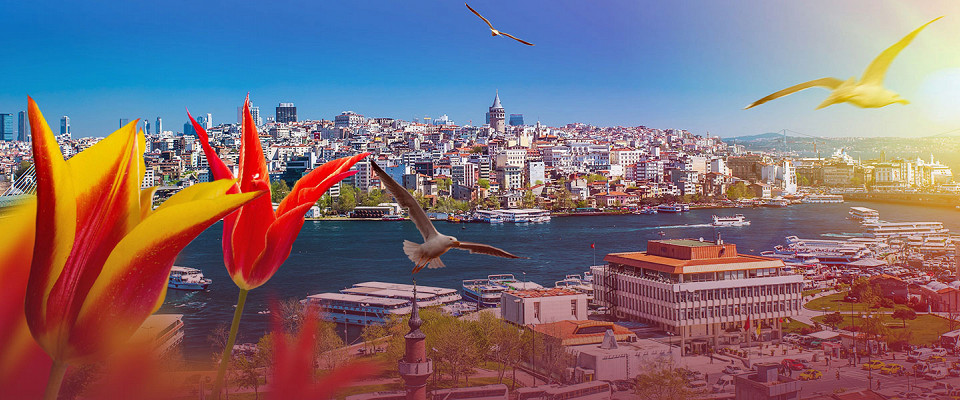 Журнал/15 неожиданных фактов о Стамбуле, после которых город откроется с другой стороны