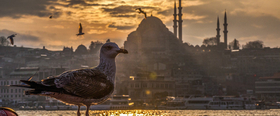 Журнал/Почему жить в Стамбуле на самом деле не очень: 6 аргументов