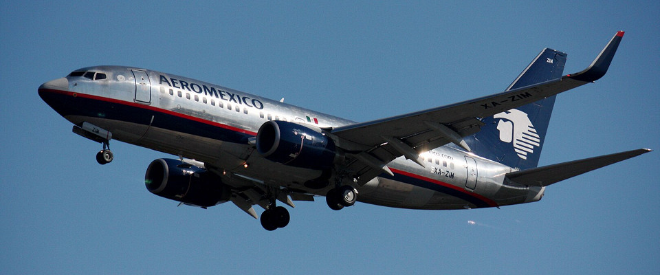 Журнал/В небе не осталось ни одного Boeing 737 MAX