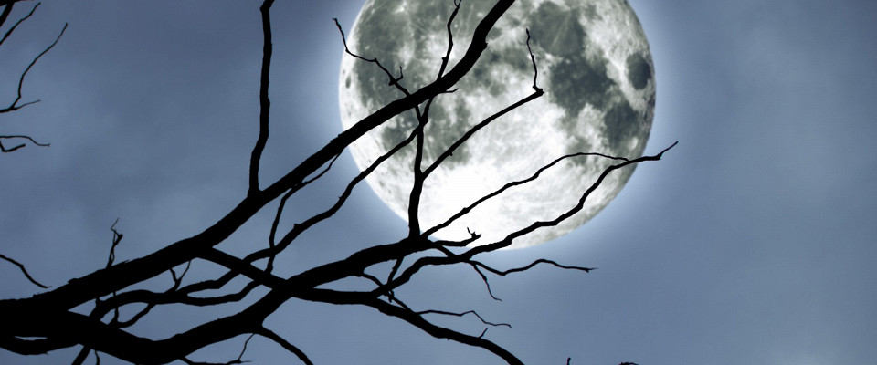 Журнал/Кто первым придумал вампиров — и почему их боялись в Европе еще до Дракулы