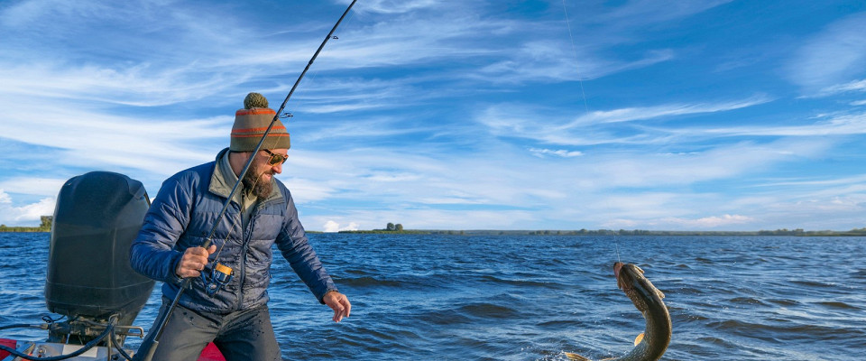 Тестовая статья