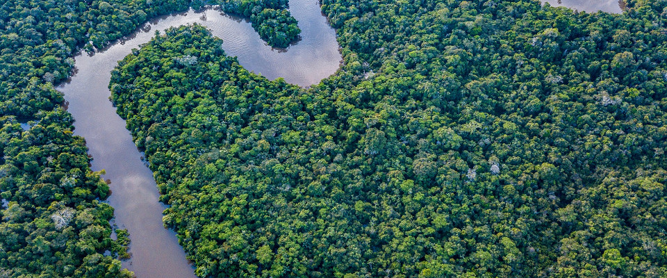 Журнал/Десять внезапных фактов об Амазонке: река-гигант и ее секреты