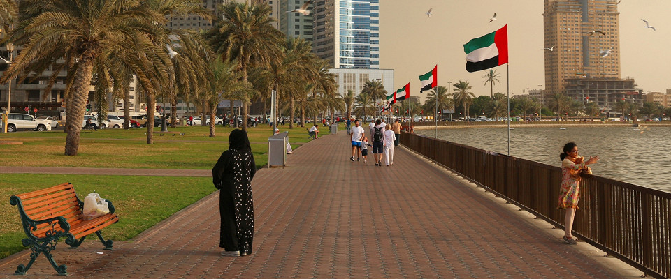 Журнал/На что жалуются отдыхающие в ОАЭ: главные минусы страны