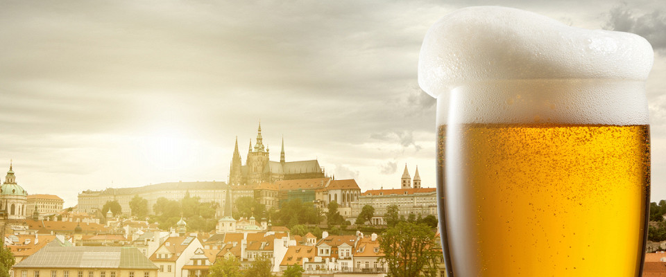 Журнал/Сколько зарабатывает пивовар в Чехии?