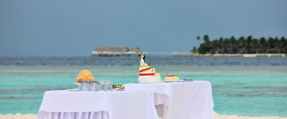 Журнал/Место для баталий: туристка объяснила, почему отдых на Мальдивах обернулся стрессом