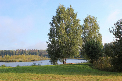 лето