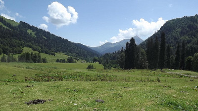 Альпийские луга. 2000м над уровнем моря.