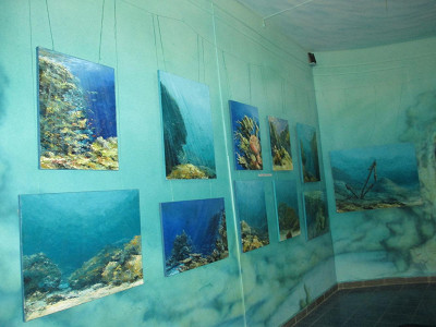 Картины со дна моря