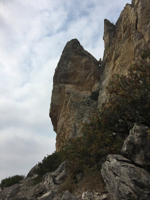 на горе Алчак