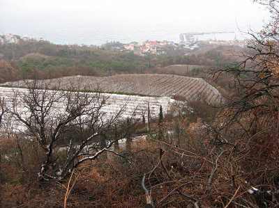 Окрестности дворца и вид на море