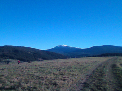 Говерла 