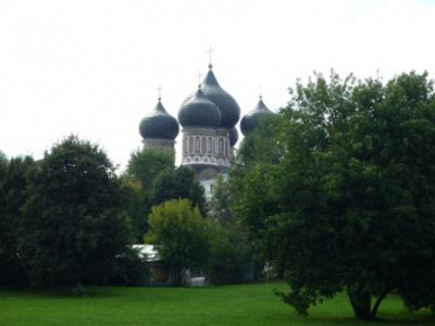 Купола Покровского храма на фоне природы