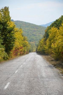 осенние пейзажи региона