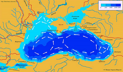 схема течения черного моря