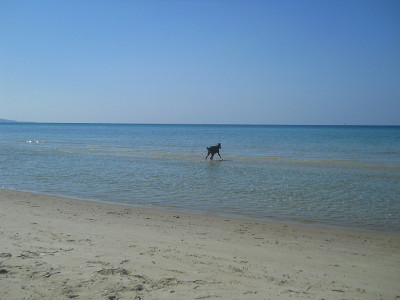 Вот такое море ))