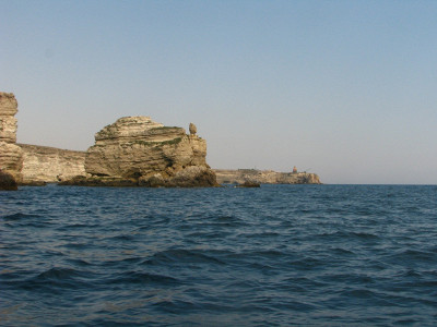 Cherepaha