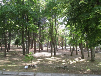 Парк возле отеля