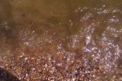 Мутная вода после шторма
