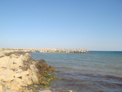 Водоросли