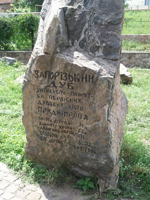 Исторические сведения о Дубе