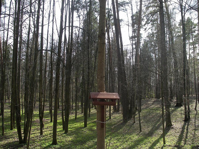 Природа парка