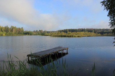 Природа Огниково