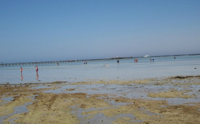 Море