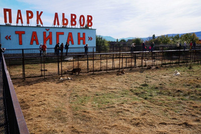 Тайган
