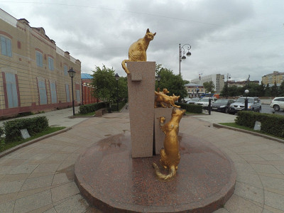 Сквер сибирских кошек