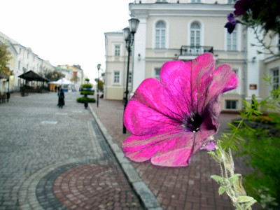 Старый город