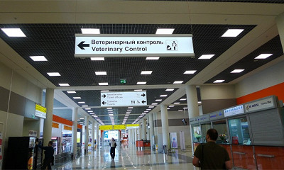 вет контроль шереметьево