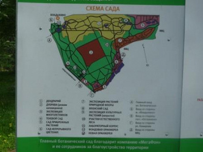 Схема сада 