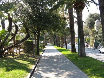Улицы