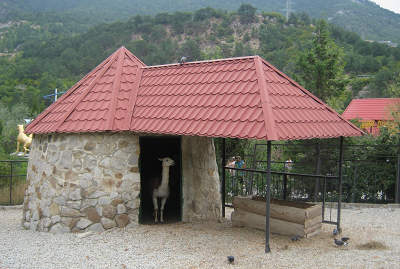 Лама и красивый вид
