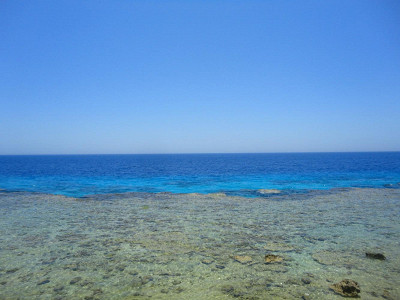 море