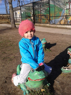таких милых животных здесь много