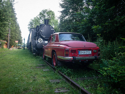 Беловежа. Польша