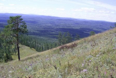 Вид на Уральские горы