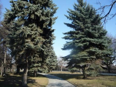 Верхний парк Кремля