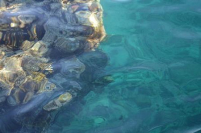 Красное море)