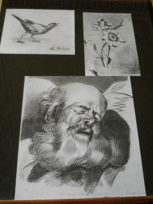 Пособия для рисования